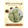 The Magician Feminized Marijuana Strain by De Sjamaan Seeds For Sale Online at Cannabis Seeds Outlet
