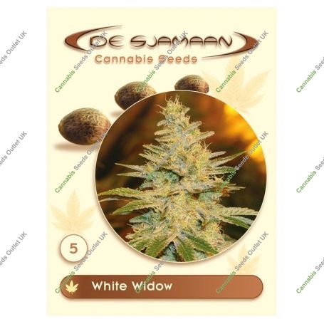 White Widow Regular Marijuana Strain by De Sjamaan Seeds For Sale Online at Cannabis Seeds Outlet