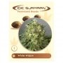 Widow 2004 Regular Marijuana Strain by De Sjamaan Seeds For Sale Online at Cannabis Seeds Outlet