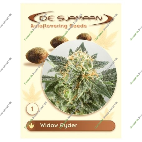 Widow Ryder Auto Feminized Marijuana Strain by De Sjamaan Seeds For Sale Online at Cannabis Seeds Outlet