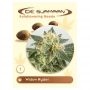 Widow Ryder Auto Feminized Marijuana Strain by De Sjamaan Seeds For Sale Online at Cannabis Seeds Outlet