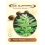 Widow Warrior Regular Marijuana Strain by De Sjamaan Seeds For Sale Online at Cannabis Seeds Outlet