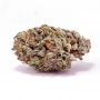 Barneys Farm Cannabis Strain Skywalker OG Auto Feminized Marijuana Seeds Original Collector Souvenir Authentic Packaging Packs