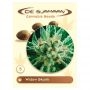Widow Skunk Regular Marijuana Strain by De Sjamaan Seeds For Sale Online at Cannabis Seeds Outlet