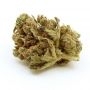 Original Sensible Seeds CannaBoom CBD plus Smoke Buds Weed Ganja Skunk Dope Pot Images Pics Nuggets
