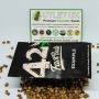 Fast Buds Cannabis Strain Strawberry Pie Auto Feminized Marijuana Seeds Original Collector Souvenir Authentic Packaging Packs