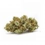 Philosopher Seeds Early Gorilla Smoke Buds Weed Ganja Skunk Dope Pot Images Pics Nuggets