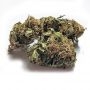 Royal Queen Seeds Tatanka Pure CBD Smoke Buds Weed Ganja Skunk Dope Pot Images Pics Nuggets
