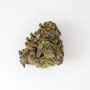 Anesia Seeds Strawberry Tree Smoke Buds Weed Ganja Skunk Dope Pot Images Pics Nuggets
