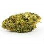 Expert Seeds Mimosa Lemon Auto Smoke Buds Weed Ganja Skunk Dope Pot Images Pics Nuggets