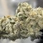 L.A Banana Cake Marijuana Strain by Black Farm Genetix For Sale Online at Cannabis Seeds Outlet