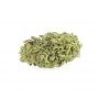 Paradise Seeds El Dorado Smoke Buds Weed Ganja Skunk Dope Pot Images Pics Nuggets