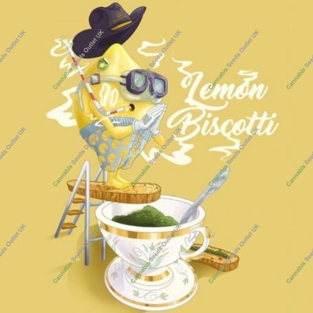 Lemon Biscotti Feminized Marijuana Strain by Penthouse Seeds For Sale Online at Cannabis Seeds Outlet