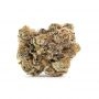 Ripper Seeds Do Si Dos x Zombie Kush Smoke Buds Weed Ganja Skunk Dope Pot Images Pics Nuggets