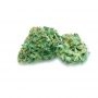 Elev8 Seeds Cake and Ice Cream Smoke Buds Weed Ganja Skunk Dope Pot Images Pics Nuggets