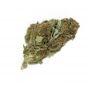 R-Kiem Suguz Smoke Buds Weed Ganja Skunk Dope Pot Images Pics Nuggets