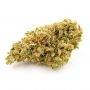 OO Seeds Bubble Gum XXL Auto Smoke Buds Weed Ganja Skunk Dope Pot Images Pics Nuggets