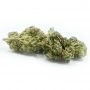 Cannabis Seeds Outlet Weed Strain Mango Crack Feminized Marijuana Seeds Original Collector Souvenir Authentic Packaging Packs