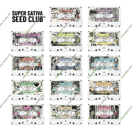 Super Sativa Seed Club Regular Marijuana Strain by Super Sativa Seed Club For Sale Online at Cannabis Seeds Outlet
