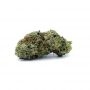 OO Seeds Chocolate Kush Auto Smoke Buds Weed Ganja Skunk Dope Pot Images Pics Nuggets