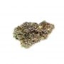 Ripper Seeds Toxic x Purple Punch Smoke Buds Weed Ganja Skunk Dope Pot Images Pics Nuggets