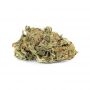 Seed Stockers Cookies and Cream Smoke Buds Weed Ganja Skunk Dope Pot Images Pics Nuggets