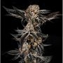 Gelato No33 Feminized Marijuana Strain by Elev8 Seeds For Sale Online at Cannabis Seeds Outlet