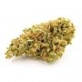 OO Seeds Bubble Gum CBD Smoke Buds Weed Ganja Skunk Dope Pot Images Pics Nuggets