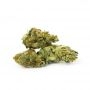 BSB Genetics Strawberry Banana Smoke Buds Weed Ganja Skunk Dope Pot Images Pics Nuggets
