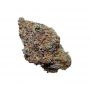 Pilchards Caviar Bodega Blue Monsoon Pilchards Smoke Buds Weed Ganja Skunk Dope Pot Images Pics Nuggets