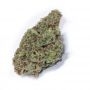 G13 Labs Blue Cindy Smoke Buds Weed Ganja Skunk Dope Pot Images Pics Nuggets
