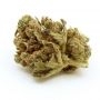 Nirvana Aurora Indica Auto Smoke Buds Weed Ganja Skunk Dope Pot Images Pics Nuggets