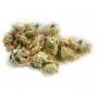 Royal Queen Seeds El Patron Smoke Buds Weed Ganja Skunk Dope Pot Images Pics Nuggets