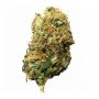 British Columbia Northern Lights No5 Auto Smoke Buds Weed Ganja Skunk Dope Pot Images Pics Nuggets