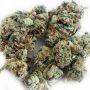 Greenhouse Seeds Dark Phoenix Smoke Buds Weed Ganja Skunk Dope Pot Images Pics Nuggets