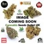 Incredible Bulk CBD Feminized Marijuana Strain by Dr Krippling For Sale Online at Cannabis Seeds Outlet