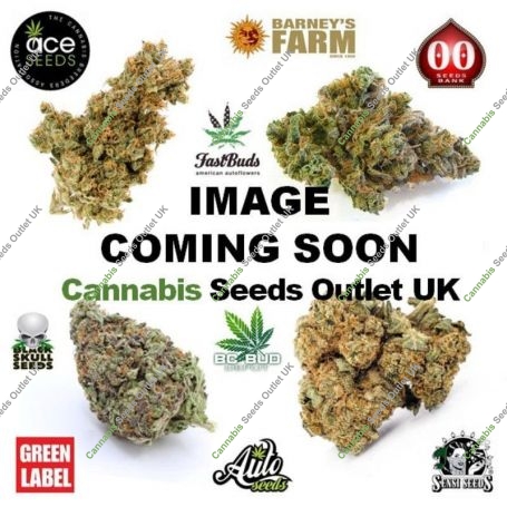 Incredible Lemons Feminized Marijuana Strain by Dr Krippling For Sale Online at Cannabis Seeds Outlet