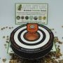 Kannabia Cannabis Strain Amnesia Dream XL Auto Edition Feminized Marijuana Seeds Original Collector Souvenir Authentic Packaging