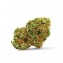 Growers Choice Grapefruit x Bubblegum Auto Smoke Buds Weed Ganja Skunk Dope Pot Images Pics Nuggets