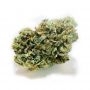 Growers Choice Monkey Glue Auto Smoke Buds Weed Ganja Skunk Dope Pot Images Pics Nuggets