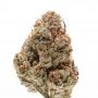 Octane Fire OG Feminized Marijuana Strain by Growers Choice For Sale Online at Cannabis Seeds Outlet