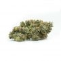 Geist Grow Seeds Bubba Gueist Auto Smoke Buds Weed Ganja Skunk Dope Pot Images Pics Nuggets