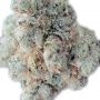 Bubba Gueist Auto Feminized Marijuana Strain by Geist Grow Seeds For Sale Online at Cannabis Seeds Outlet
