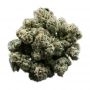 Banana Ghost Feminized Marijuana Strain by Geist Grow Seeds For Sale Online at Cannabis Seeds Outlet