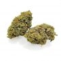 Geist Grow Seeds Cannabis Strain Geist OG CBD Regular Marijuana Seeds Original Collector Souvenir Authentic Packaging Packs