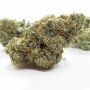 Geist Grow Seeds SFV Gushers Smoke Buds Weed Ganja Skunk Dope Pot Images Pics Nuggets