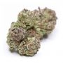 Geist Grow Seeds Cannabis Strain Banana Cream Cake Regular Marijuana Seeds Original Collector Souvenir Authentic Packaging Packs