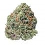 Geist Grow Seeds Cannabis Strain Geist OG S1 Feminized Marijuana Seeds Original Collector Souvenir Authentic Packaging Packs