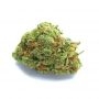 Yieldmonger Seeds Candied Satsuma Auto Smoke Buds Weed Ganja Skunk Dope Pot Images Pics Nuggets