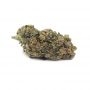 Yieldmonger Seeds Mother Ape Shit Auto Smoke Buds Weed Ganja Skunk Dope Pot Images Pics Nuggets